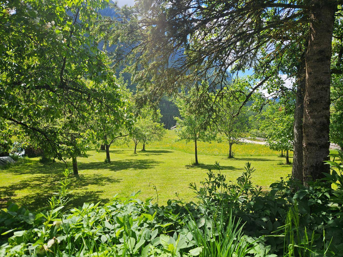 Ausblick Obstgarten