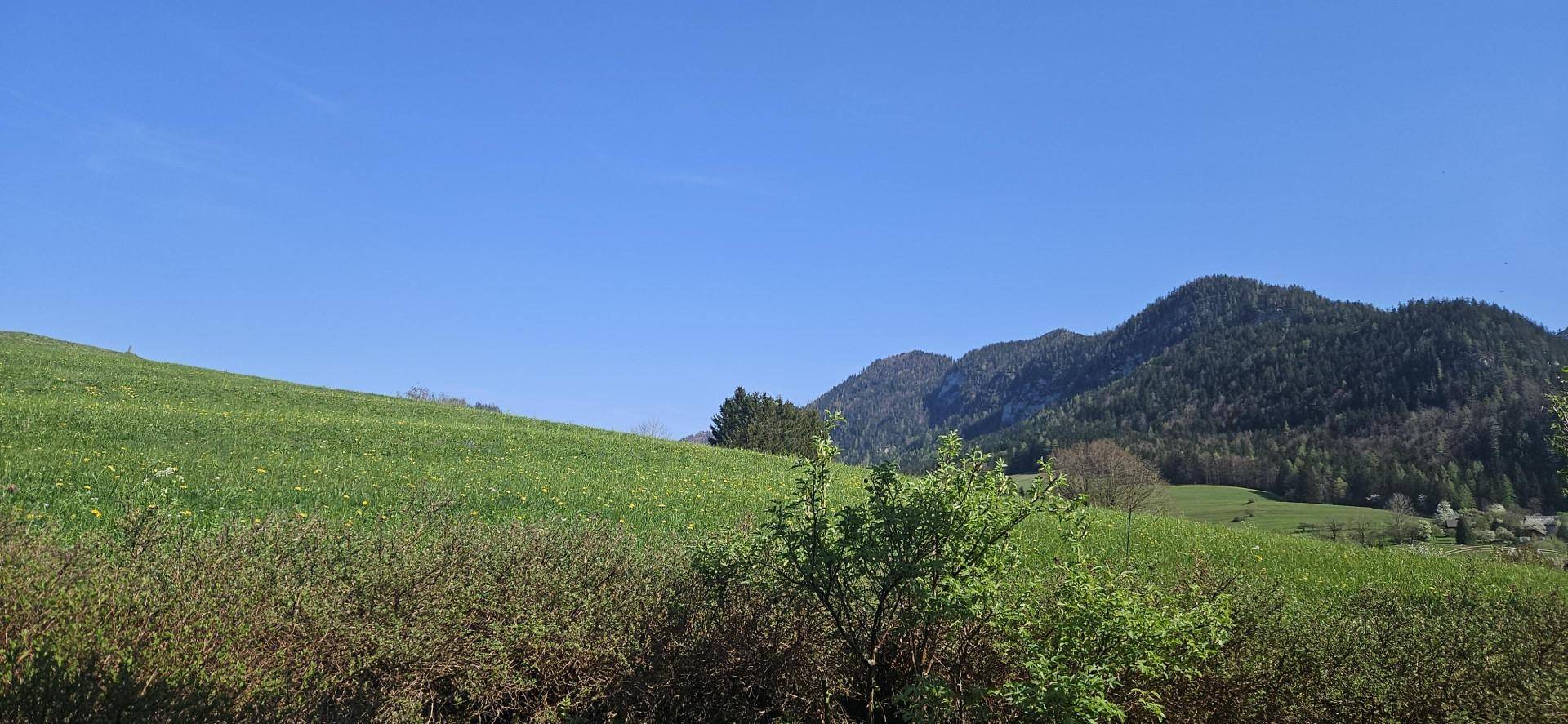 Weitläufige grüne Hügellandschaft mit bewaldeten Bergen unter klarem blauem Himmel.