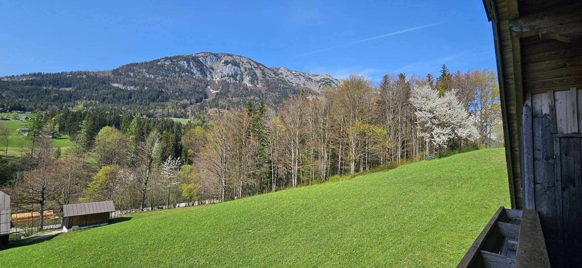 Weitläufiger Blick über grüne Wiesen und Wälder auf die umliegende Berglandschaft.