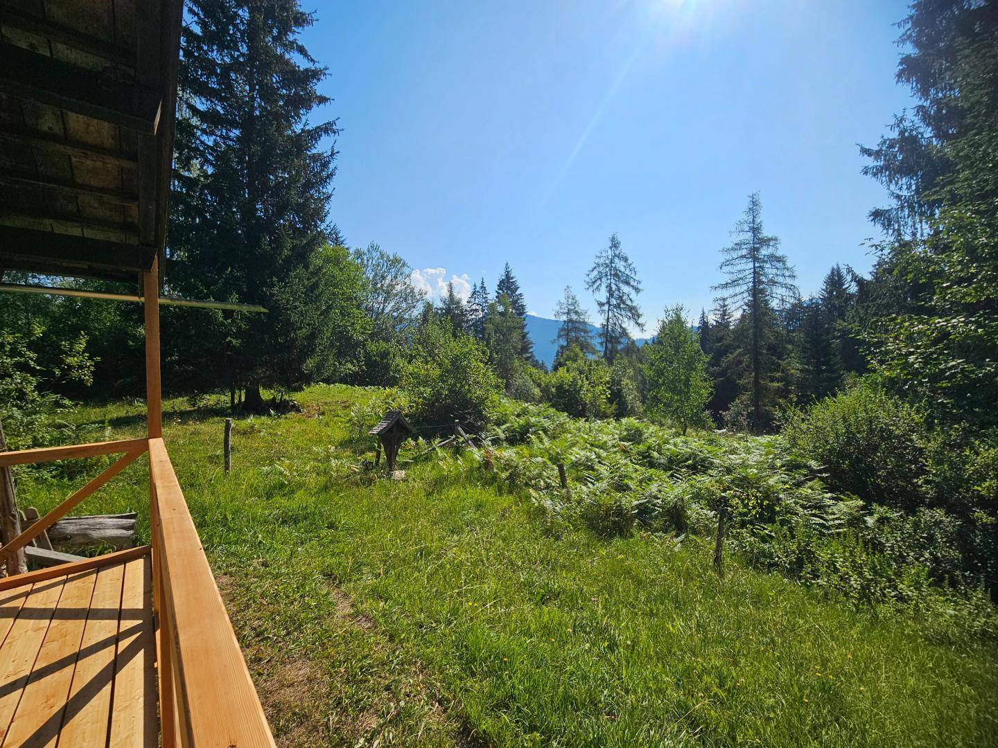 Blick von der Holzterrasse in die weite grüne Landschaft mit Bergen und Wald unter blauem Himmel.