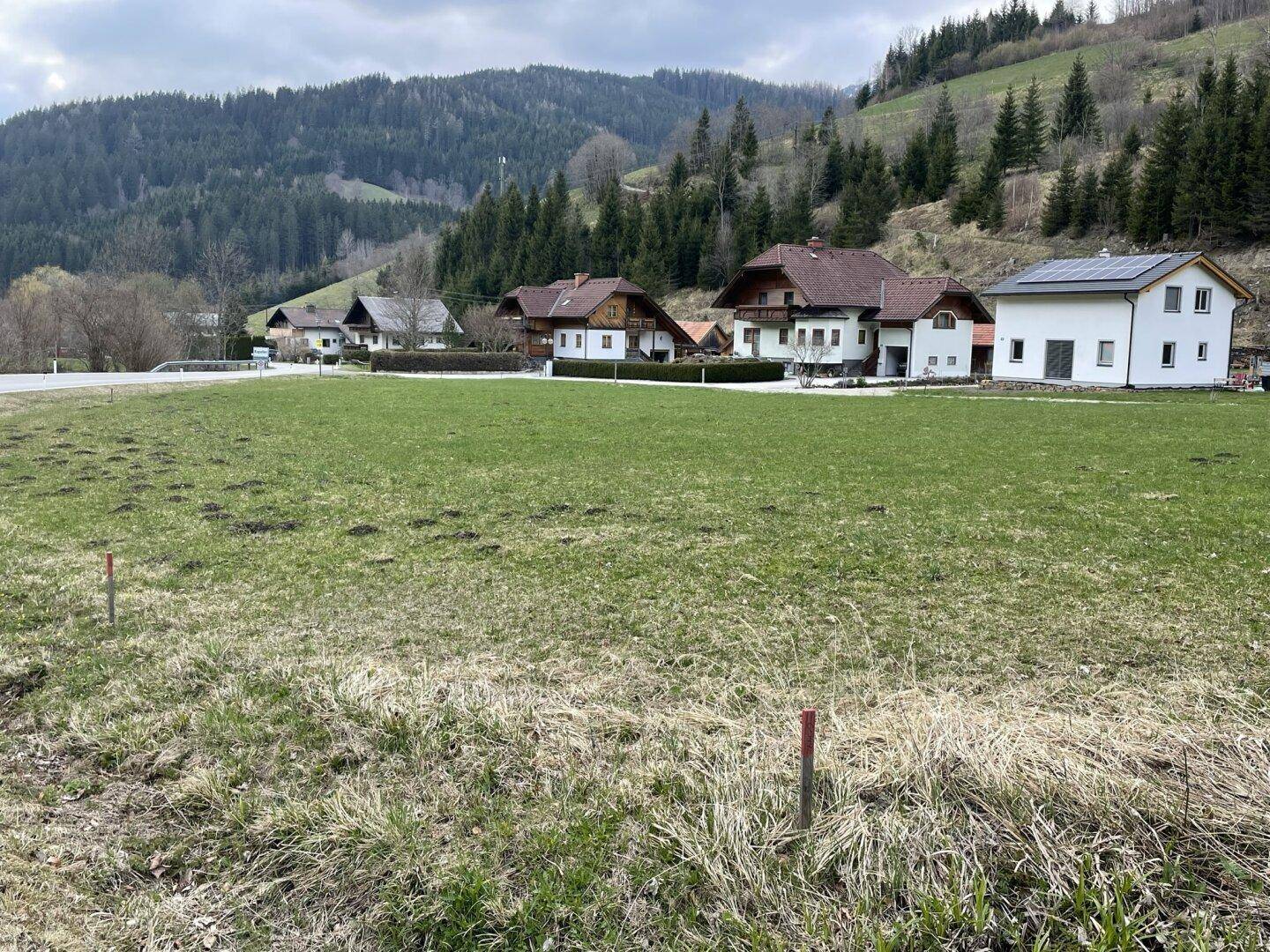 Nahaufnahme einer Gruppe von Häusern in einer grünen Landschaft mit bewaldeten Bergen im Hintergrund.