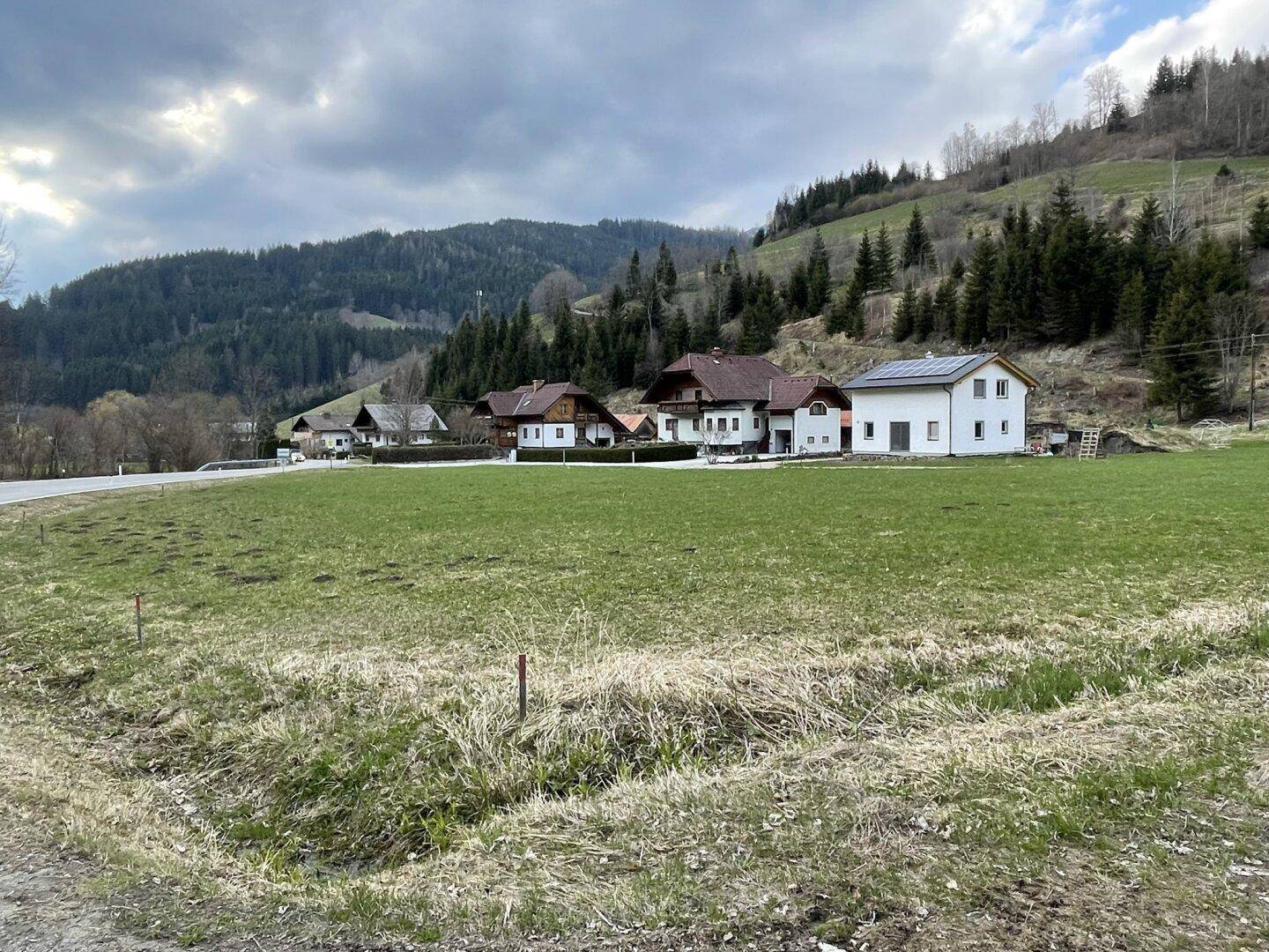 Ländliche Szenerie mit mehreren Wohnhäusern, umgeben von grünen Wiesen und bewaldeten Hügeln unter einem bewölkten Himmel.
