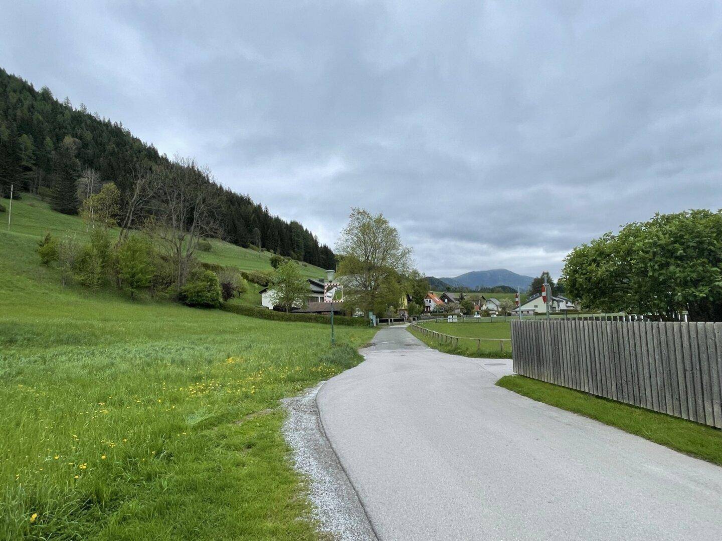 Ländliche Straße führt durch eine grüne Landschaft mit Häusern und Bergen im Hintergrund unter bewölktem Himmel.