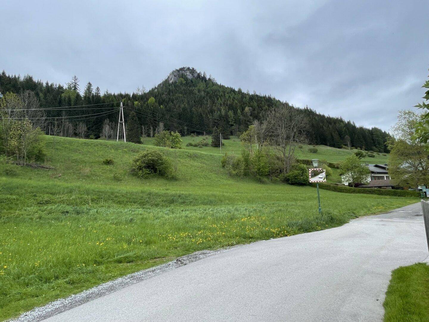 Panoramablick auf eine grüne Hügellandschaft mit Wald, Felsen und einer Straße, die sich durch das Tal schlängelt.