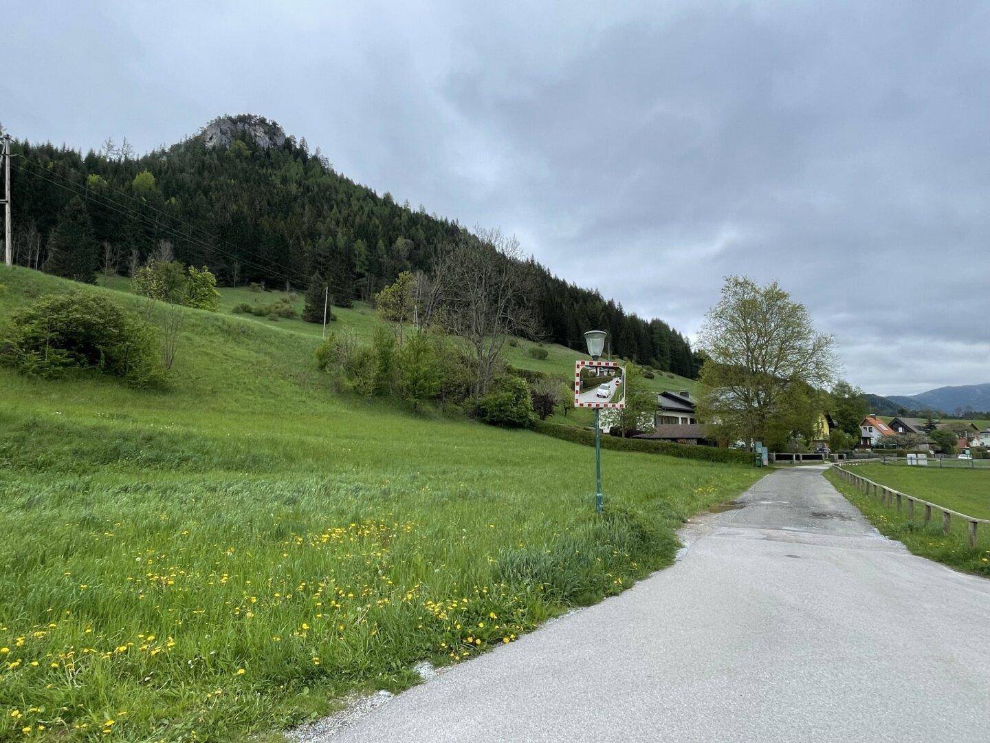 Idyllische ländliche Szene mit grünen Wiesen, bewaldeten Bergen und einer Straße, die sich durch die Landschaft zieht.