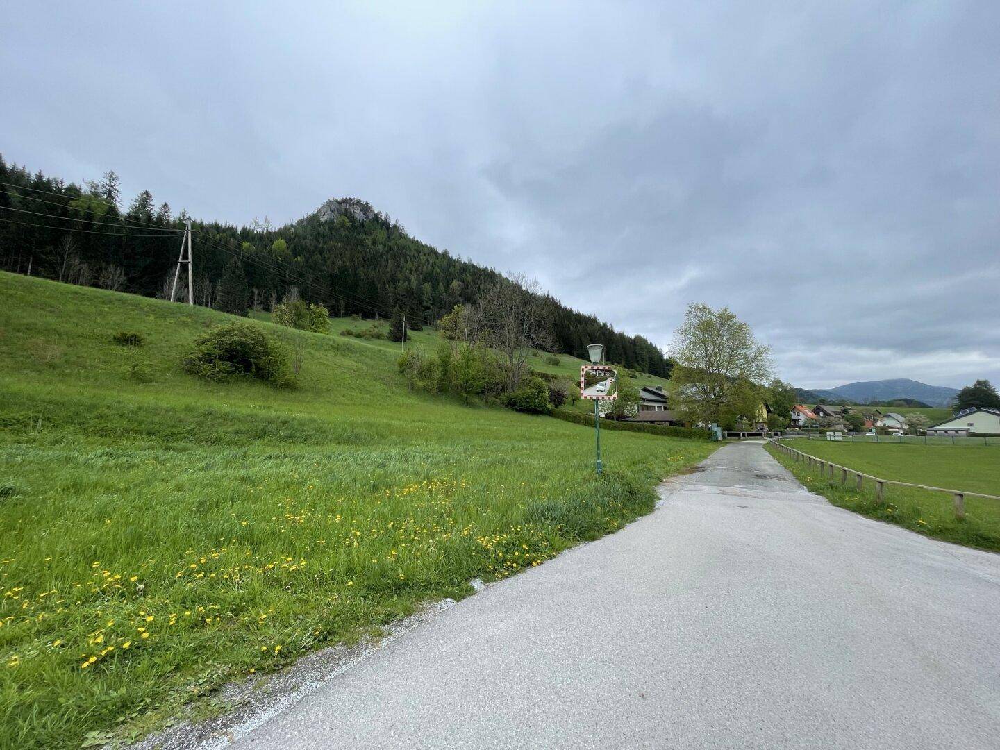 Weite grüne Wiesen und bewaldete Berge prägen die Landschaft entlang einer ruhigen Landstraße unter Wolken.