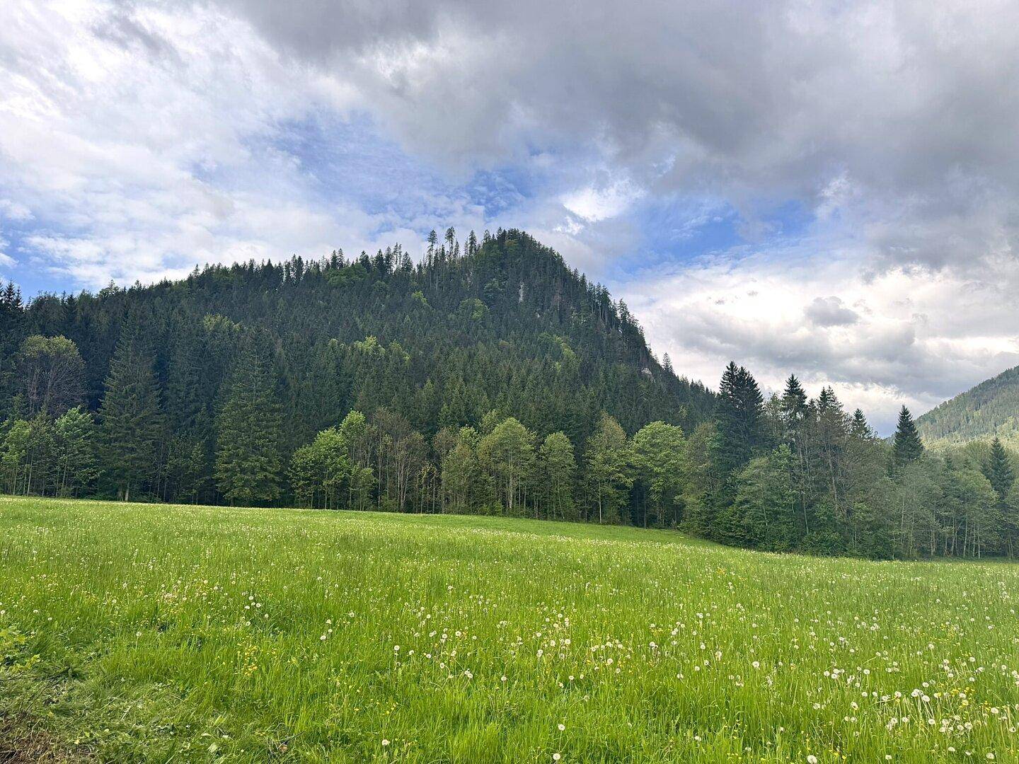 Slide 42