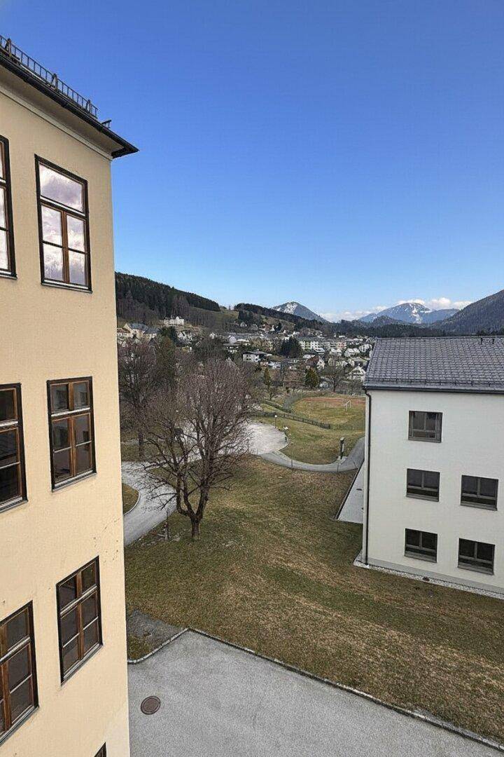 Weitläufiger Blick auf eine grüne Landschaft mit Bäumen und schneebedeckten Bergen am Horizont.