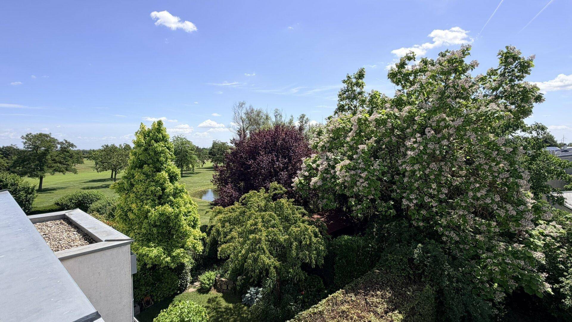 Malerischer Ausblick auf eine grüne Landschaft mit Bäumen, einem Teich und einem Golfplatz.