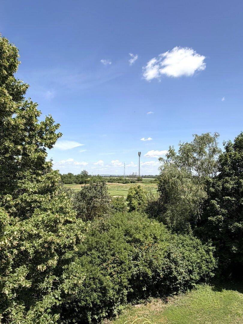 Weitläufiger Ausblick auf eine ländliche Landschaft mit Feldern, Bäumen und einem Turm am Horizont.