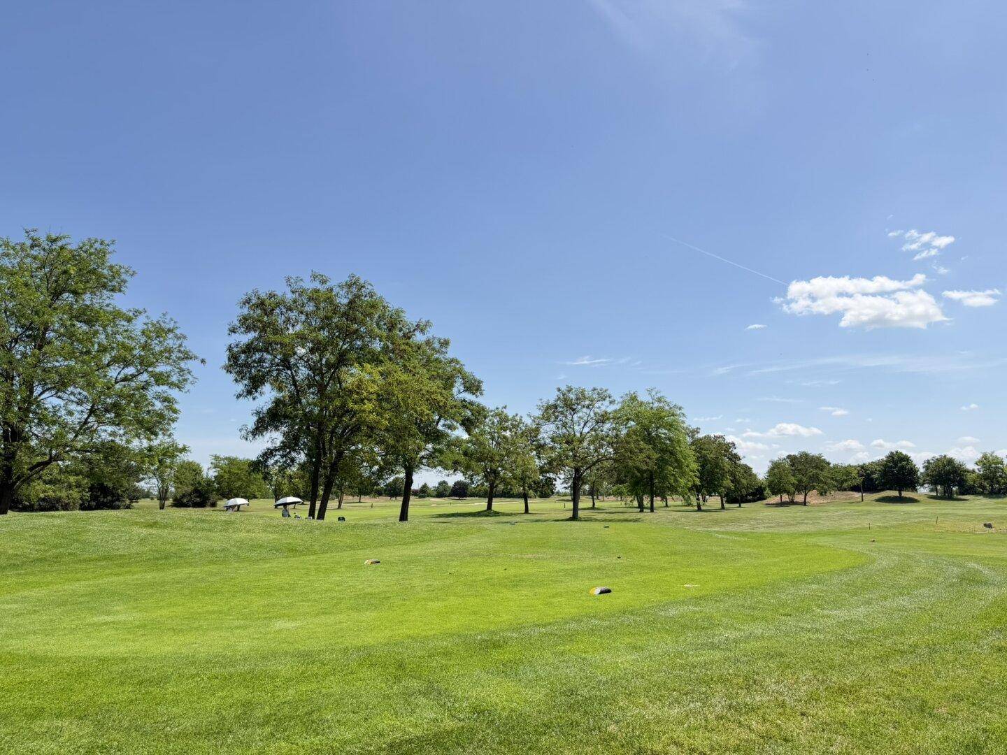 Weitläufiger Golfplatz mit makellosem Grün und vereinzelten Bäumen unter strahlend blauem Himmel.