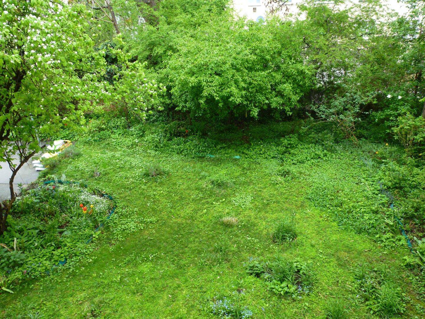 Üppig bewachsener Gartenbereich mit viel Grün und verschiedenen Pflanzen.