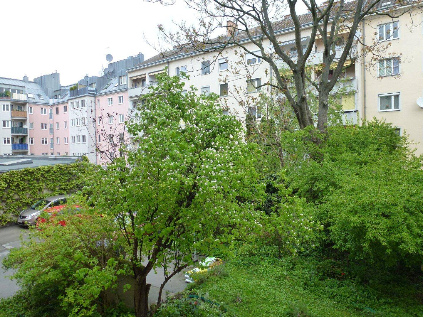 Blick auf einen grünen Innenhof mit Bäumen und umliegenden Wohngebäuden.