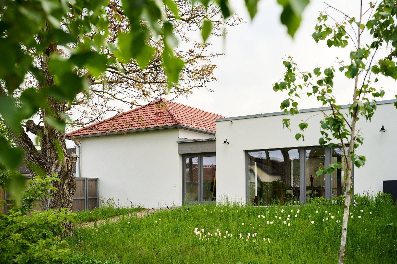 Modernes Gebäude mit weißer Fassade und großen Fenstern, umgeben von einer grünen Wiese.