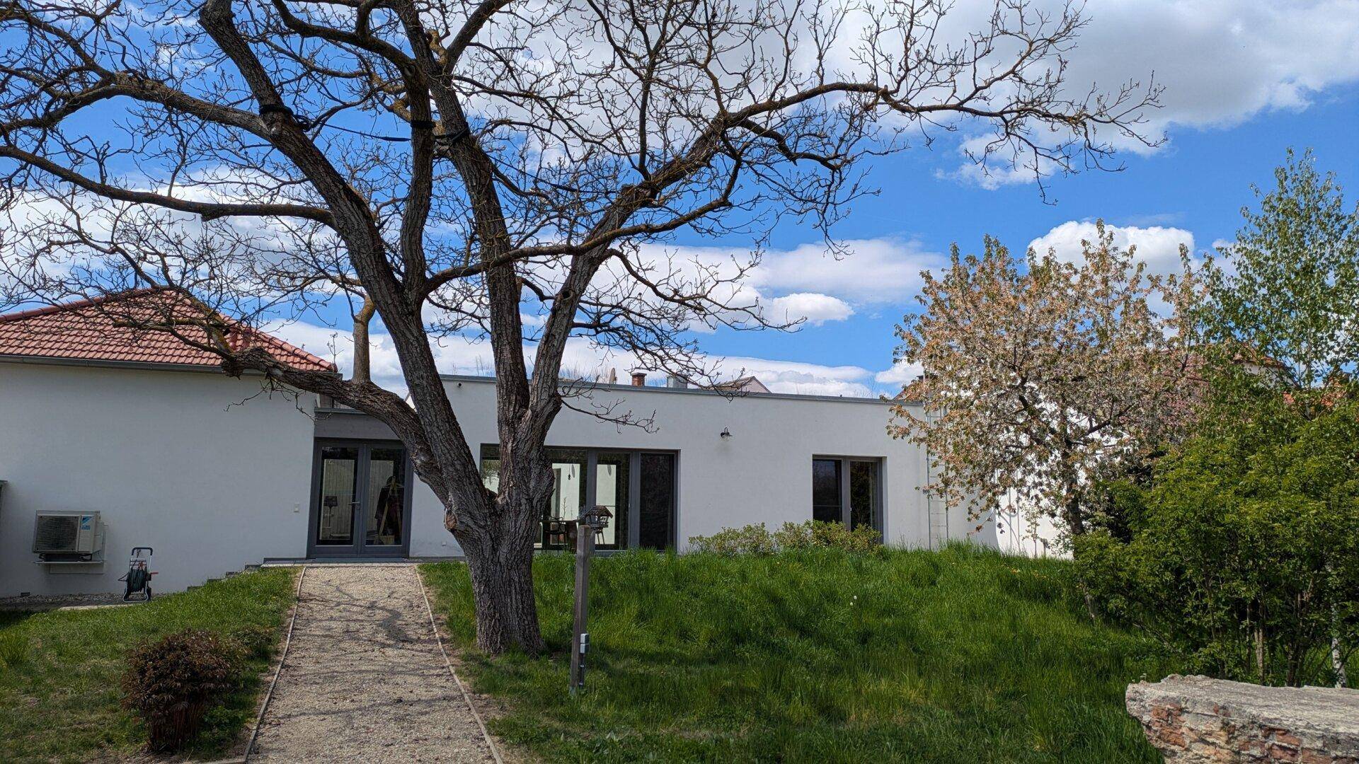 Modernes Gebäude mit weißer Fassade und großen Fenstern, umgeben von einer grünen Wiese.