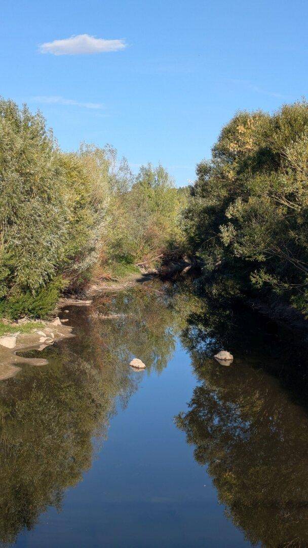 Ruhiger Flusslauf umgeben von dichtem Grün der Bäume, die sich im Wasser spiegeln.