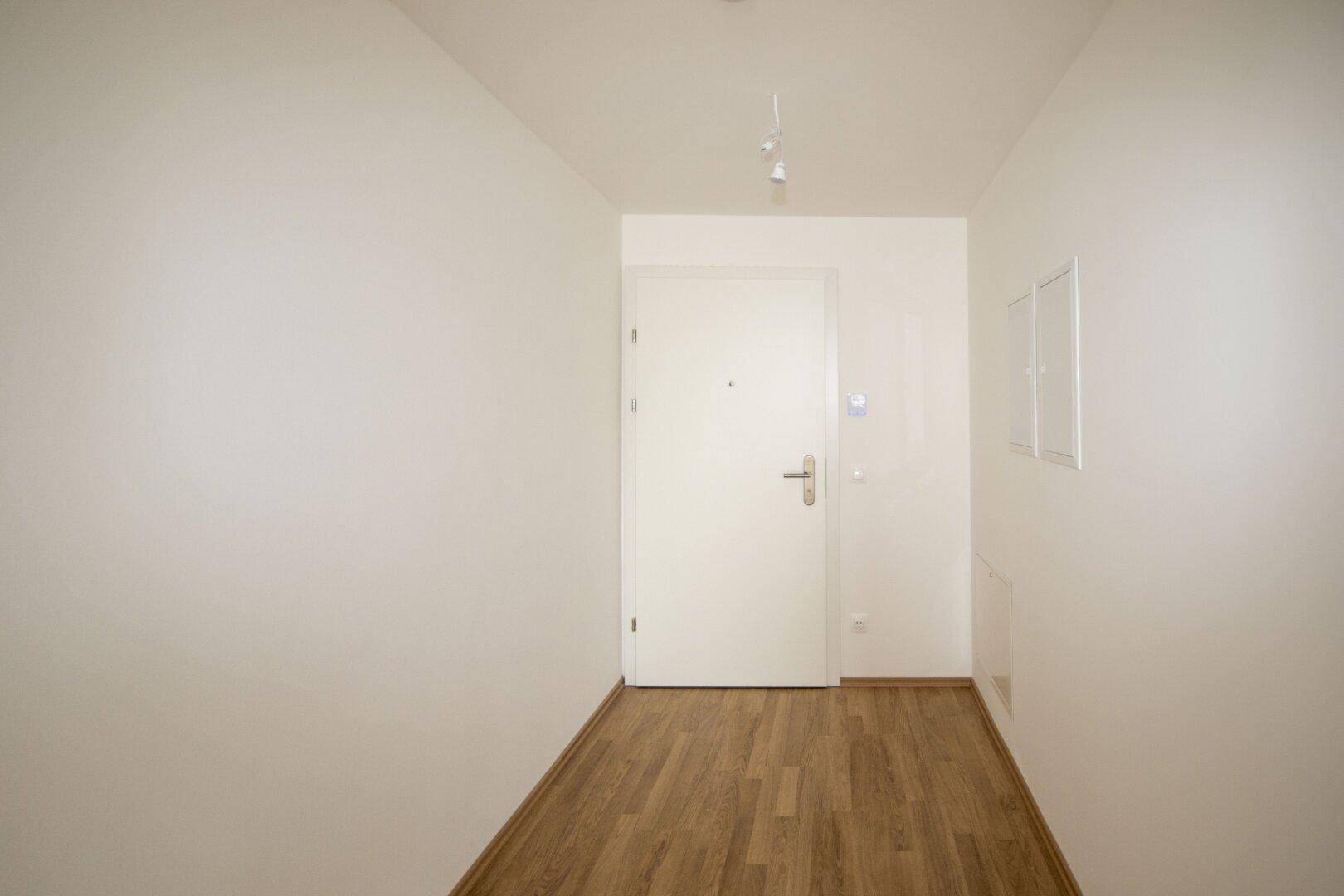Heller Flur mit Laminatboden und einer modernen Eingangstür.