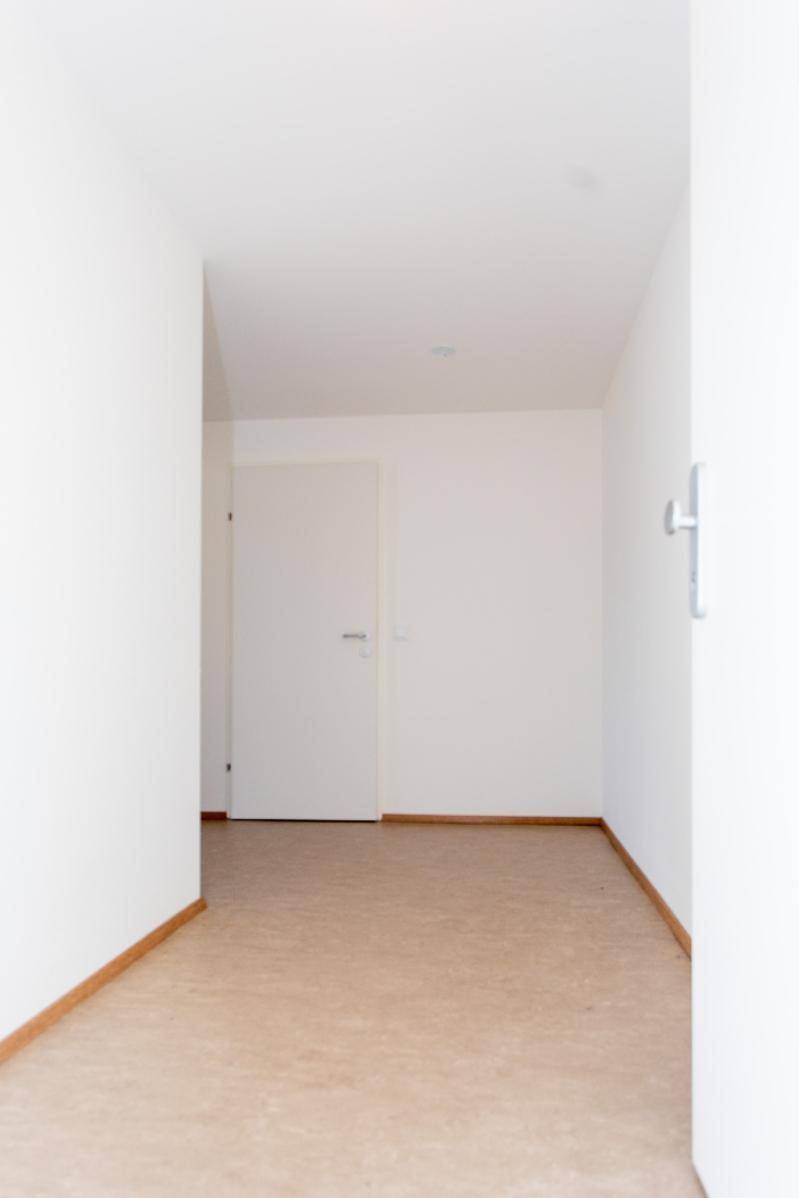 Objekt 305 Pitten 2823 20
