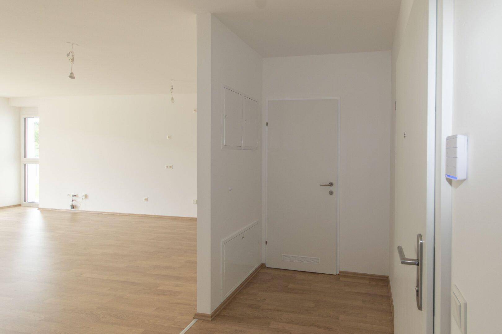 Eingangsbereich mit heller Tür, Sicherungskasten und Laminatboden, der in den Wohnbereich übergeht.