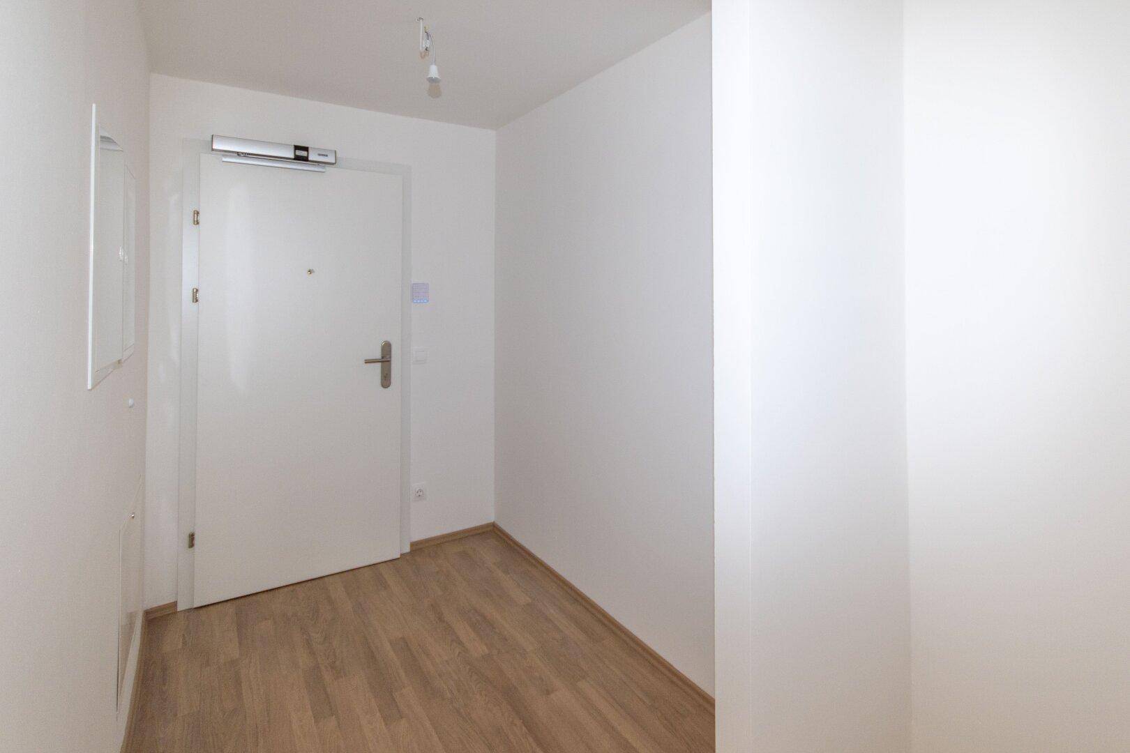 Heller Eingangsbereich mit Laminatboden und einer modernen weißen Wohnungstür.