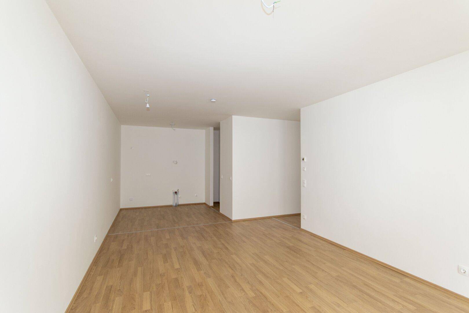 Großer, heller Raum mit Laminatboden und vorbereiteten Anschlüssen, ideal für einen offenen Wohnbereich.