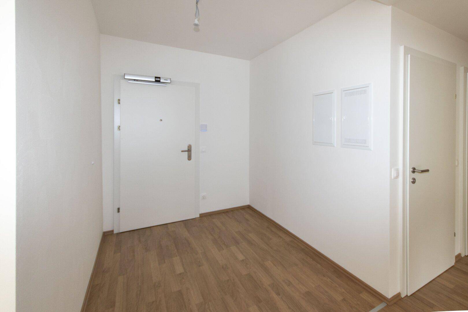 Eingangsbereich mit heller Holztür, weißen Wänden und modernem Laminatboden.