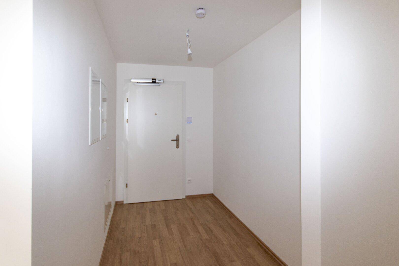 Eingangsbereich mit heller Holztür und Laminatboden, einladend und funktional.