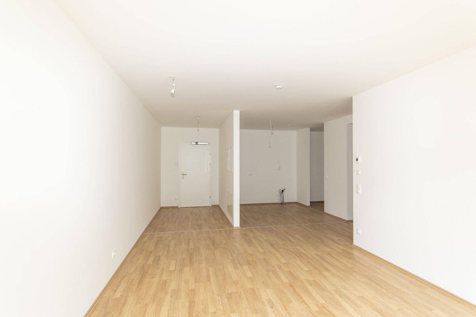 Geräumiger Eingangsbereich mit hellem Holzboden und weiß gestrichenen Wänden.