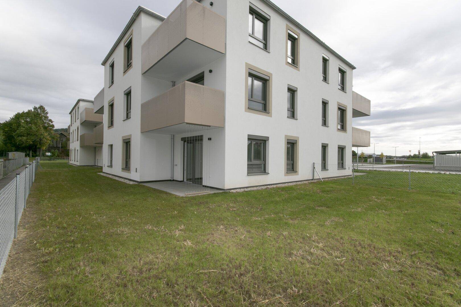 Slide 8