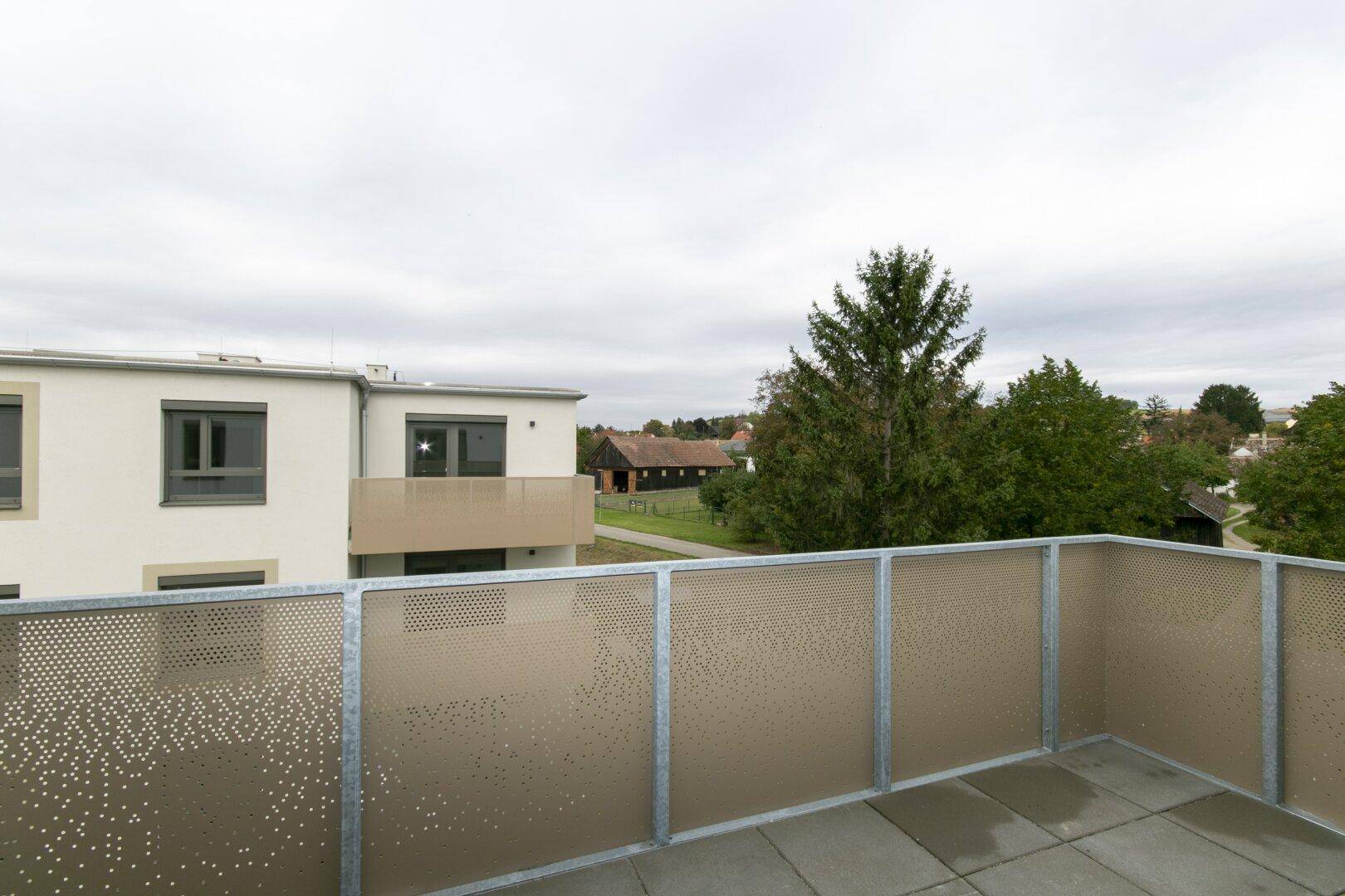Balkon mit moderner Lochblechbrüstung und Blick auf die umliegende Wohnbebauung und Natur.