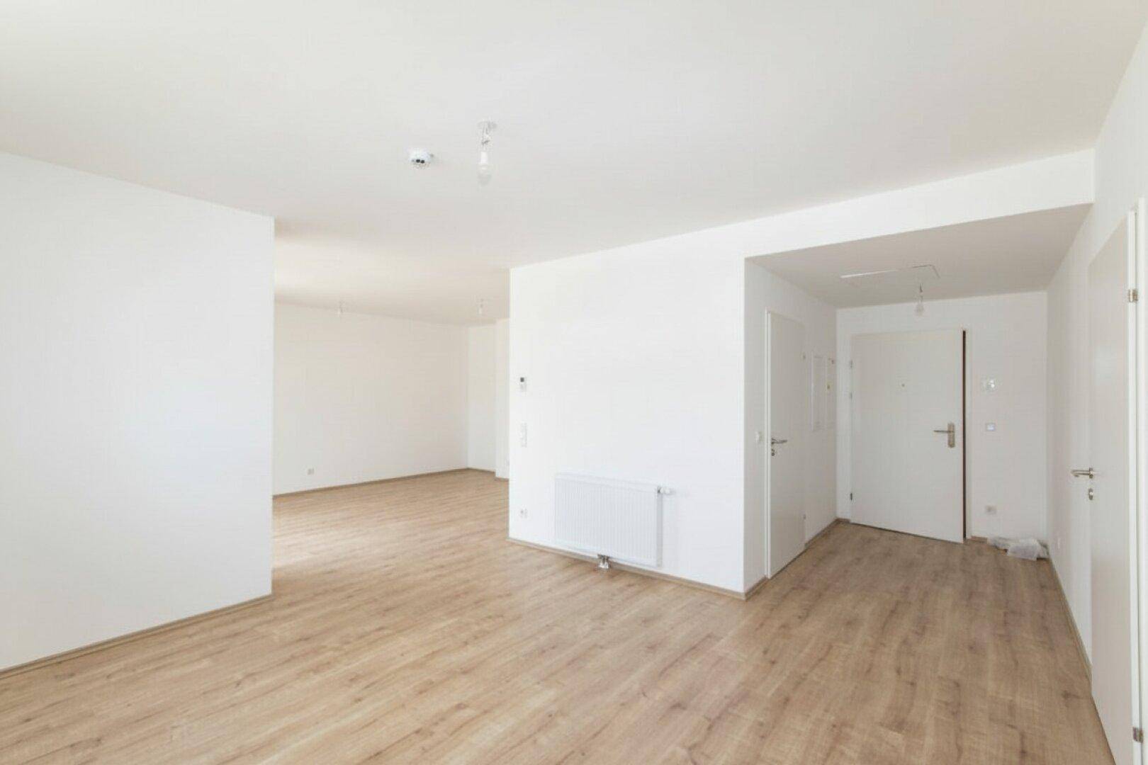 Geräumiger Eingangsbereich mit Laminatboden und weißen Wänden, bietet viel Platz für Garderobe.