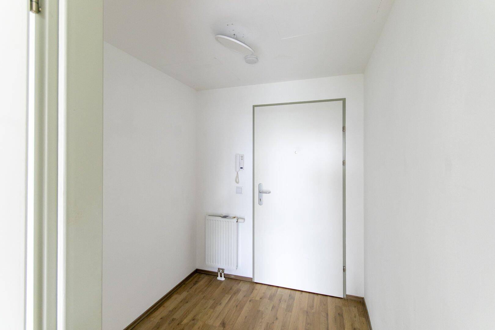 Heller Eingangsbereich mit Laminatboden und weißer Tür, bereit für individuelle Gestaltung.