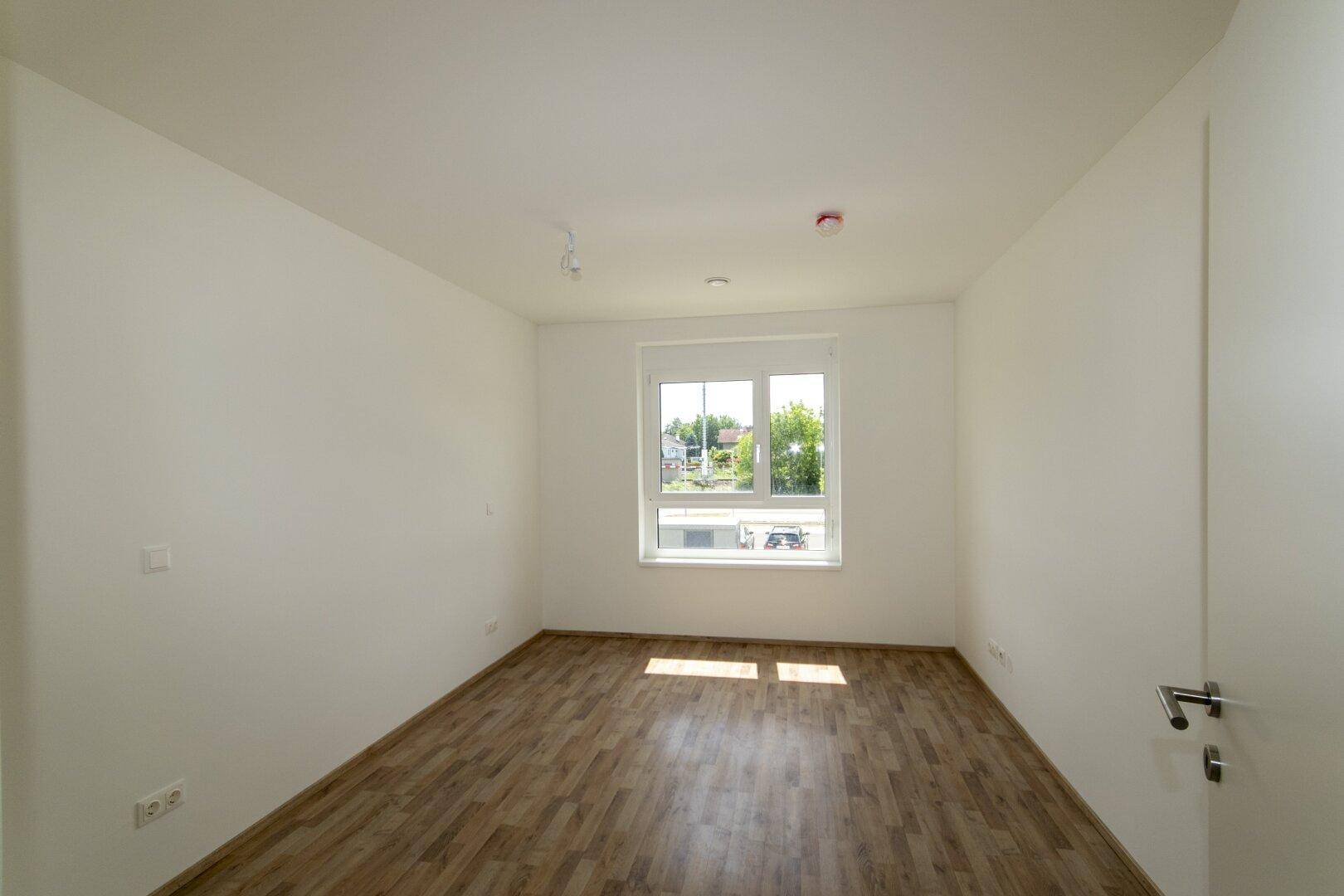 Unmöbliertes Zimmer mit Laminatboden und großem Fenster, das viel Tageslicht hereinlässt.