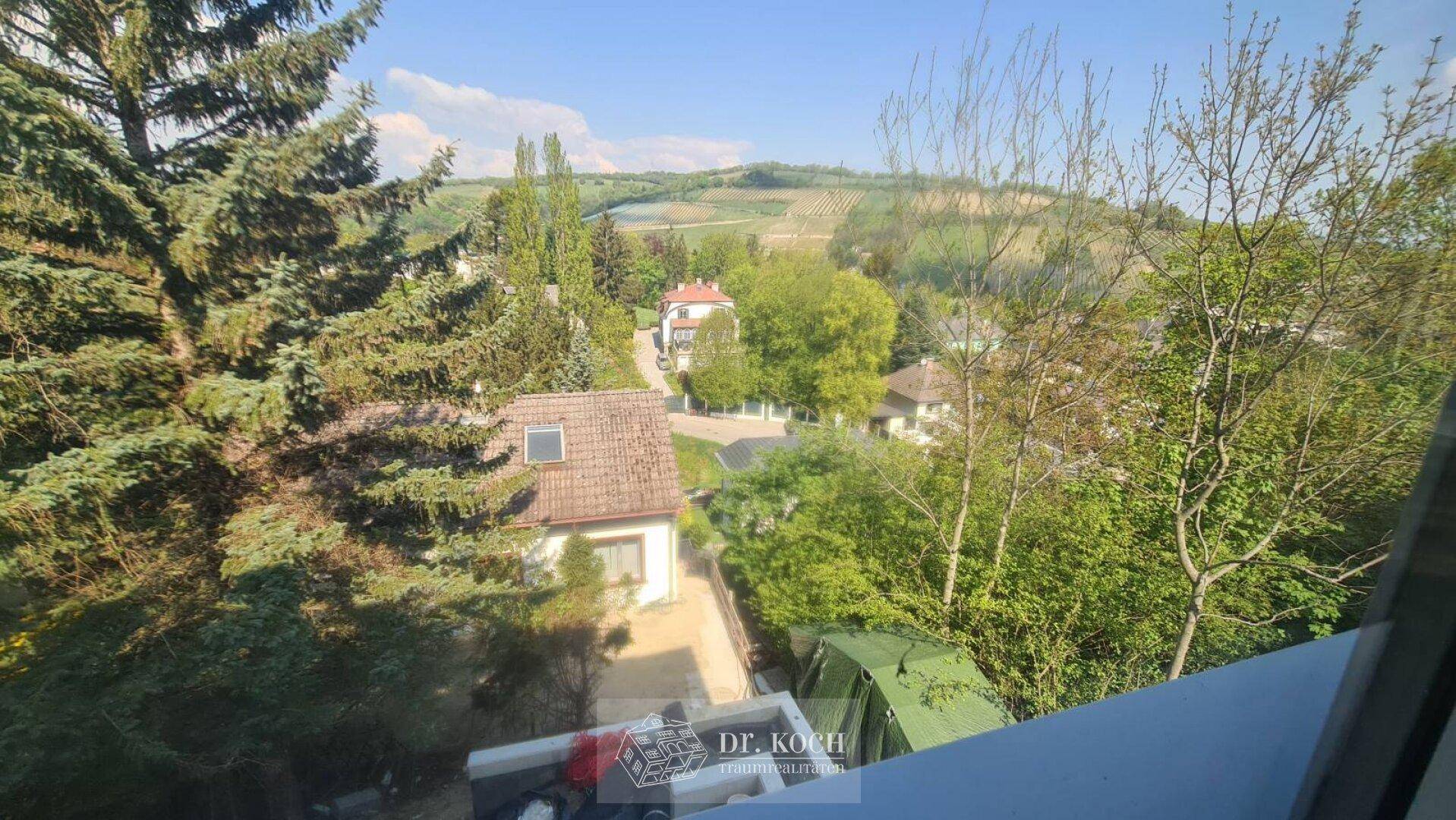 Weitläufiger Blick über grüne Hügel, Bäume und Weinberge, mit vereinzelten Häusern in der Ferne.