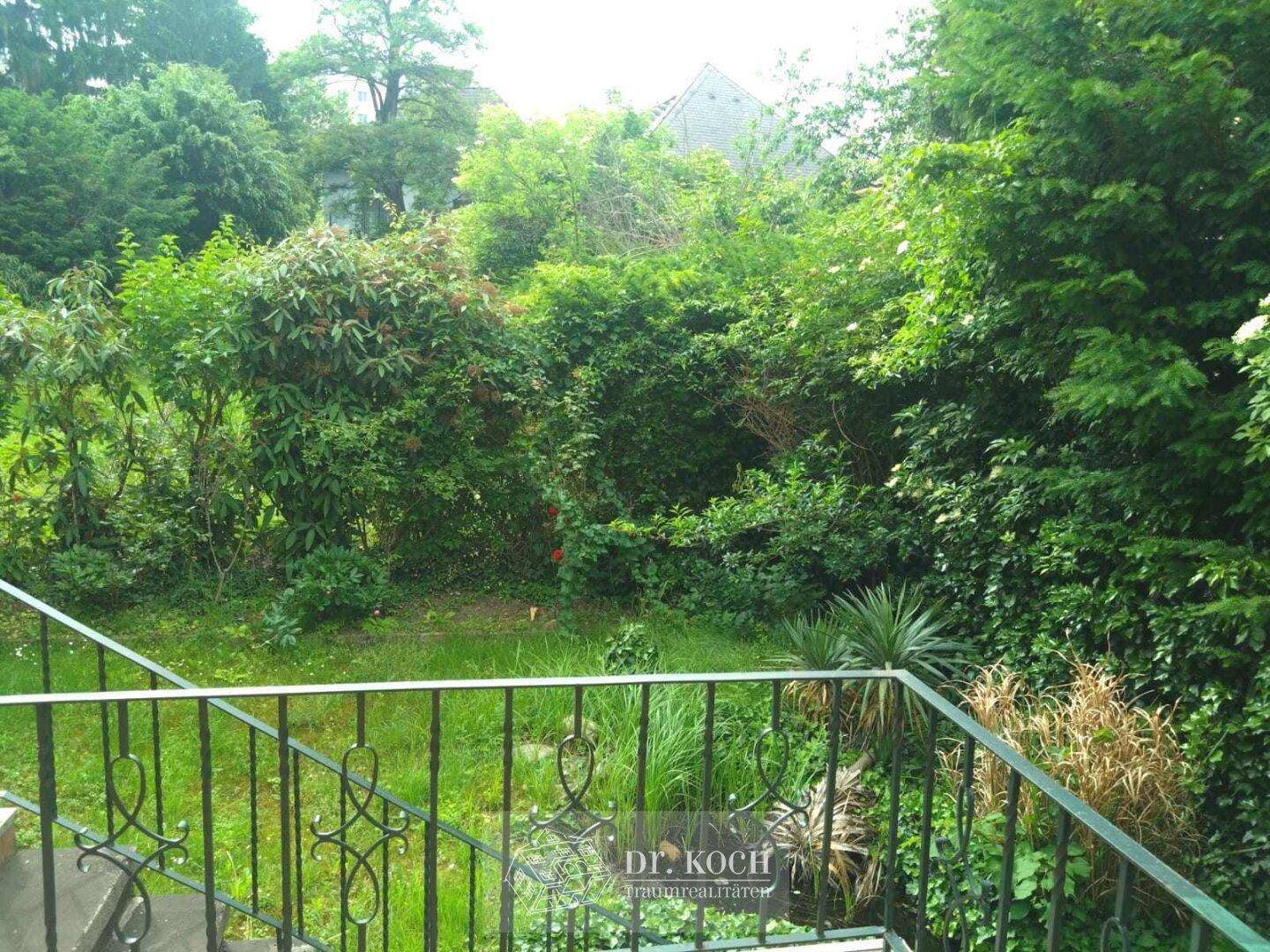 Üppiger, grüner Garten mit vielfältiger Bepflanzung und Blick ins Grüne.