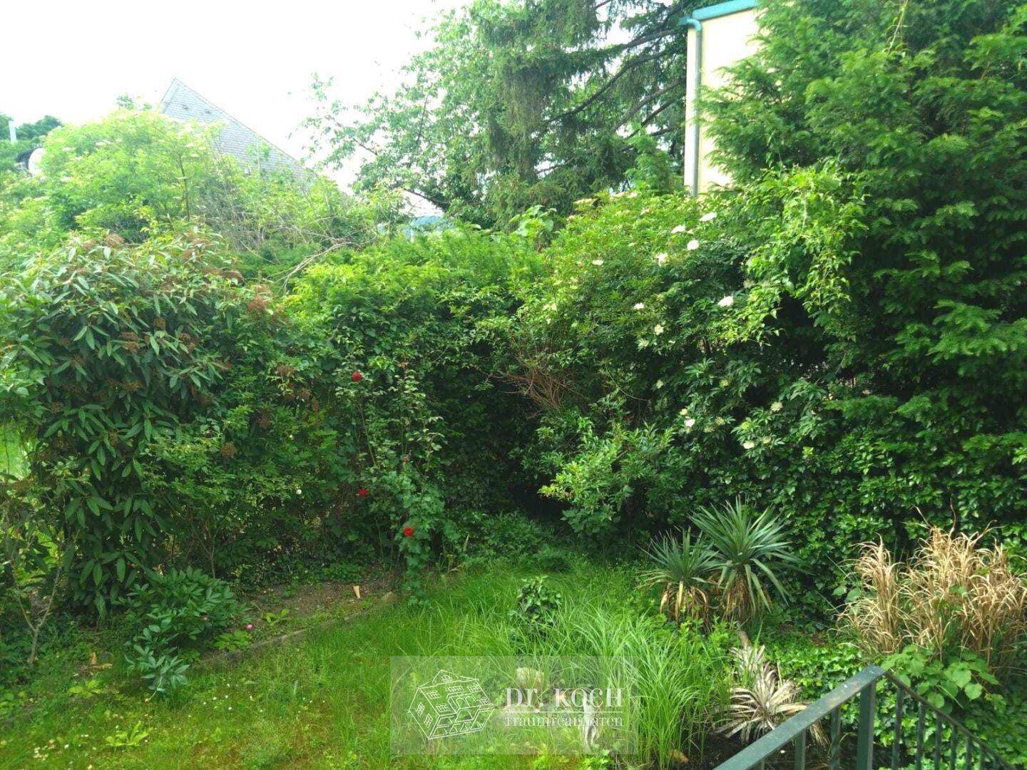 Blick auf den grünen Garten mit üppiger Bepflanzung und natürlicher Umgebung.