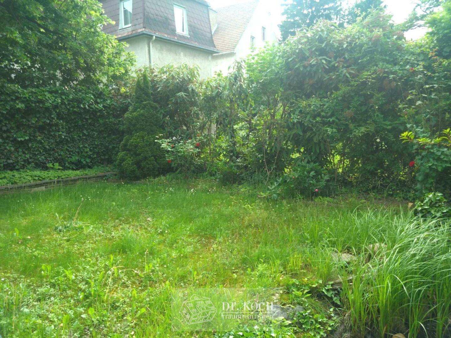 Große Rasenfläche im Garten, umgeben von Bäumen und Sträuchern.