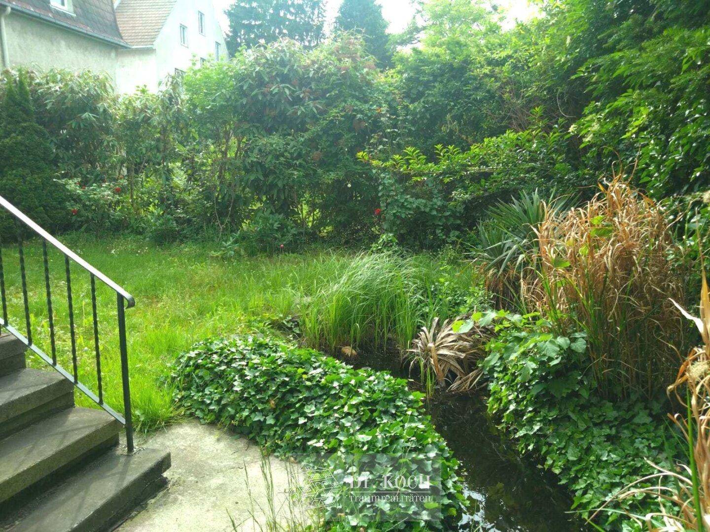 Naturbelassener Garten mit Teich, üppiger Vegetation und Treppenzugang.