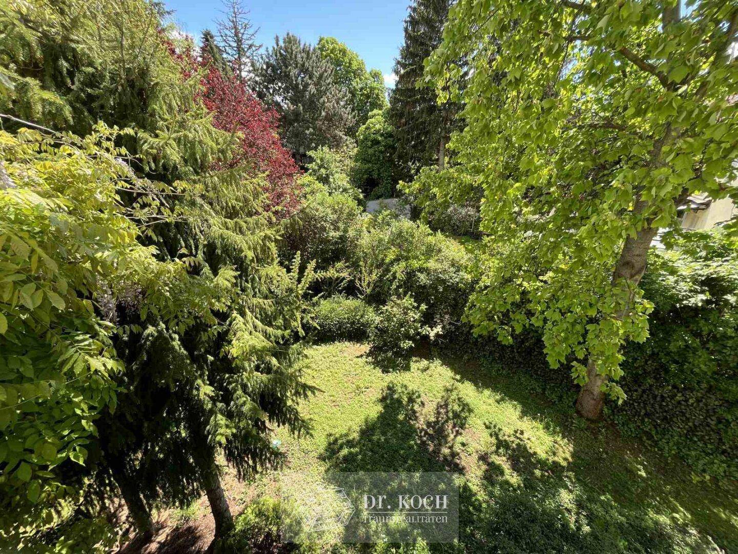 Blick in den Garten