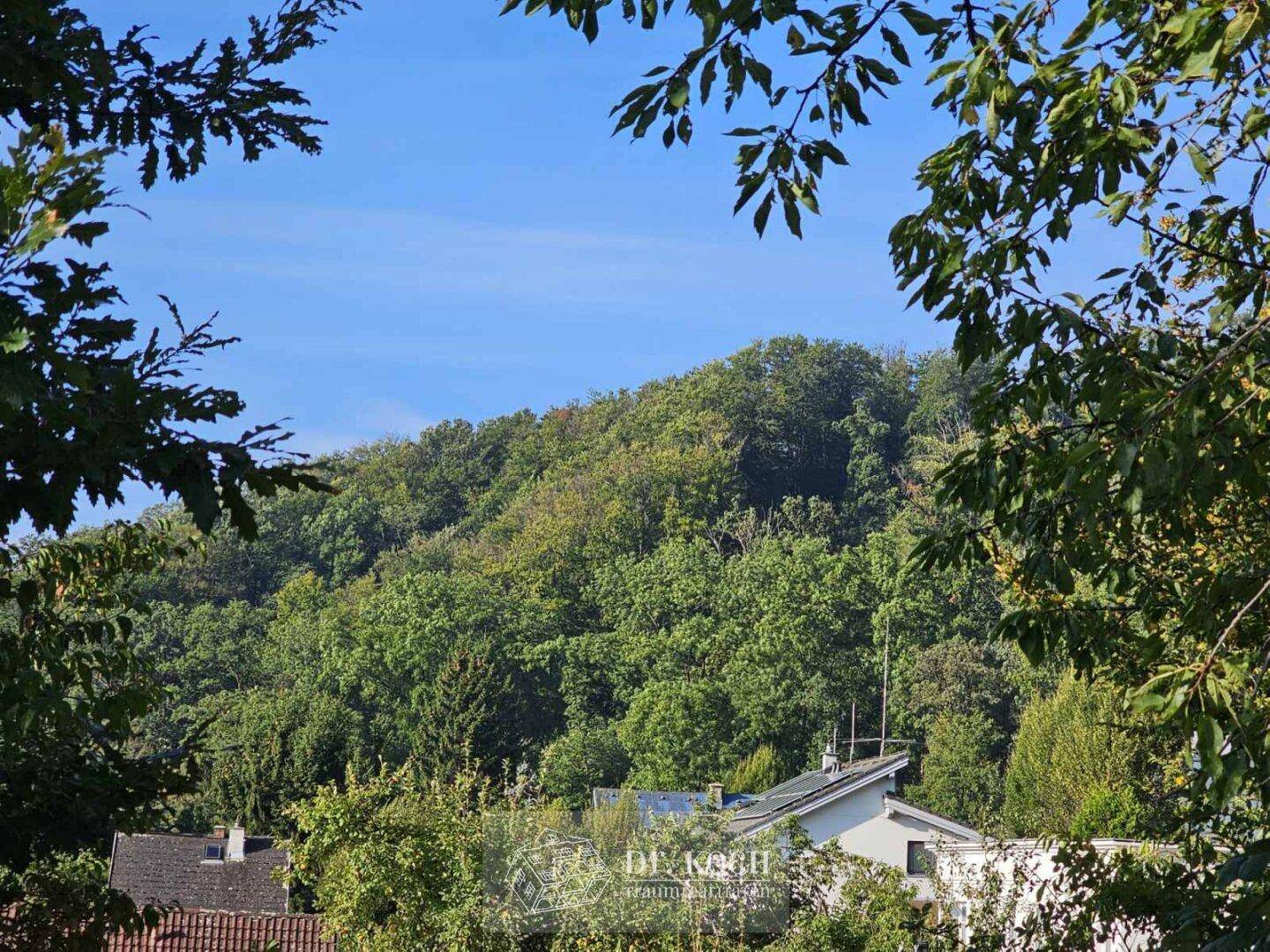 Fernblick 1