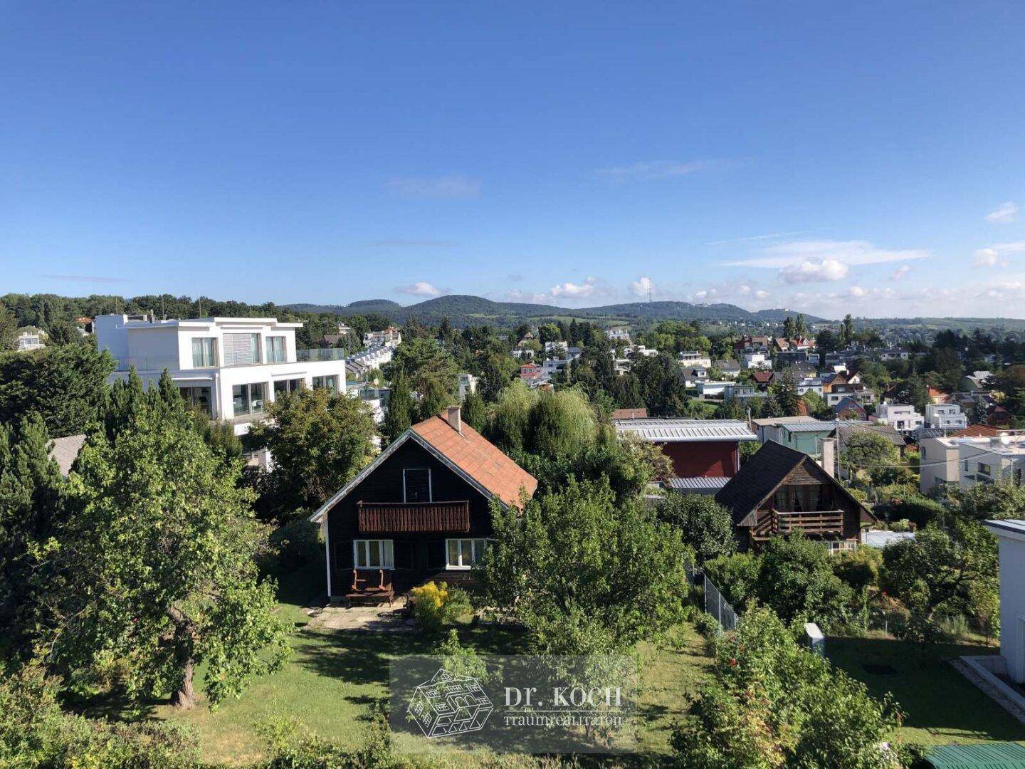 Blick 1