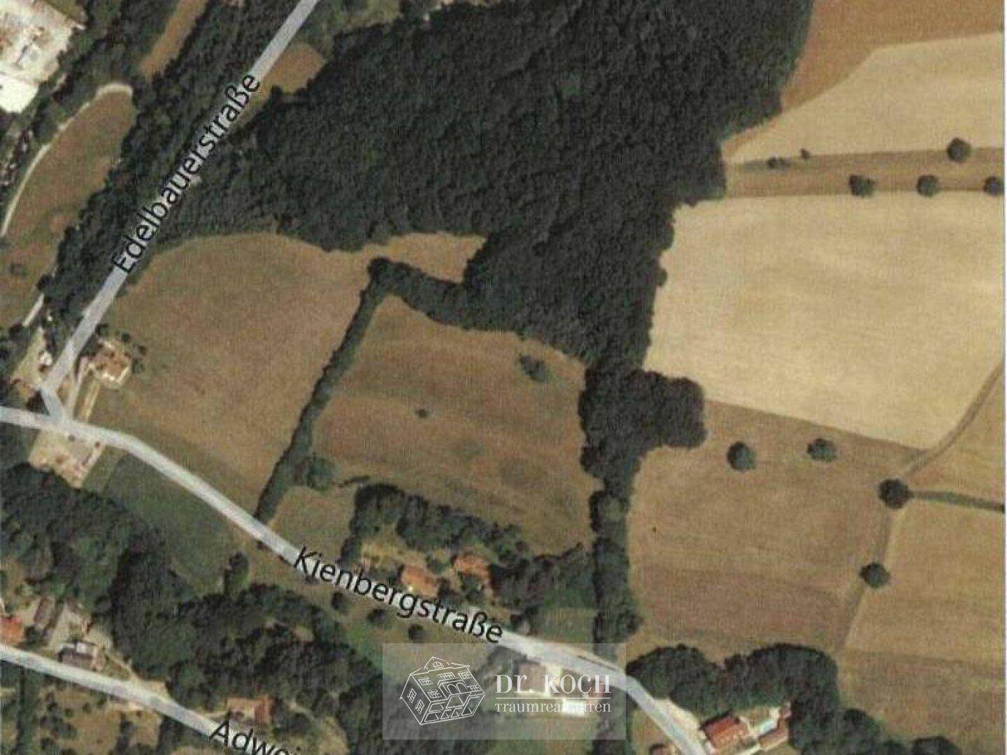 Vogelblick