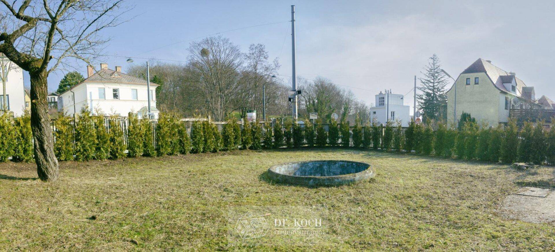 Großer Gartenbereich mit Rasenfläche, Hecke und einem alten Baum.