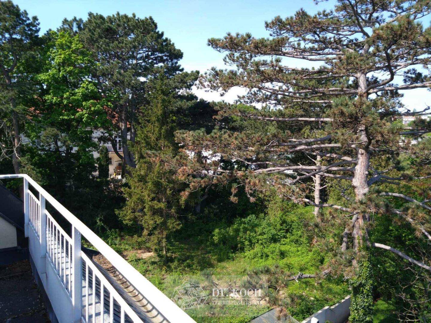 Blick 2
