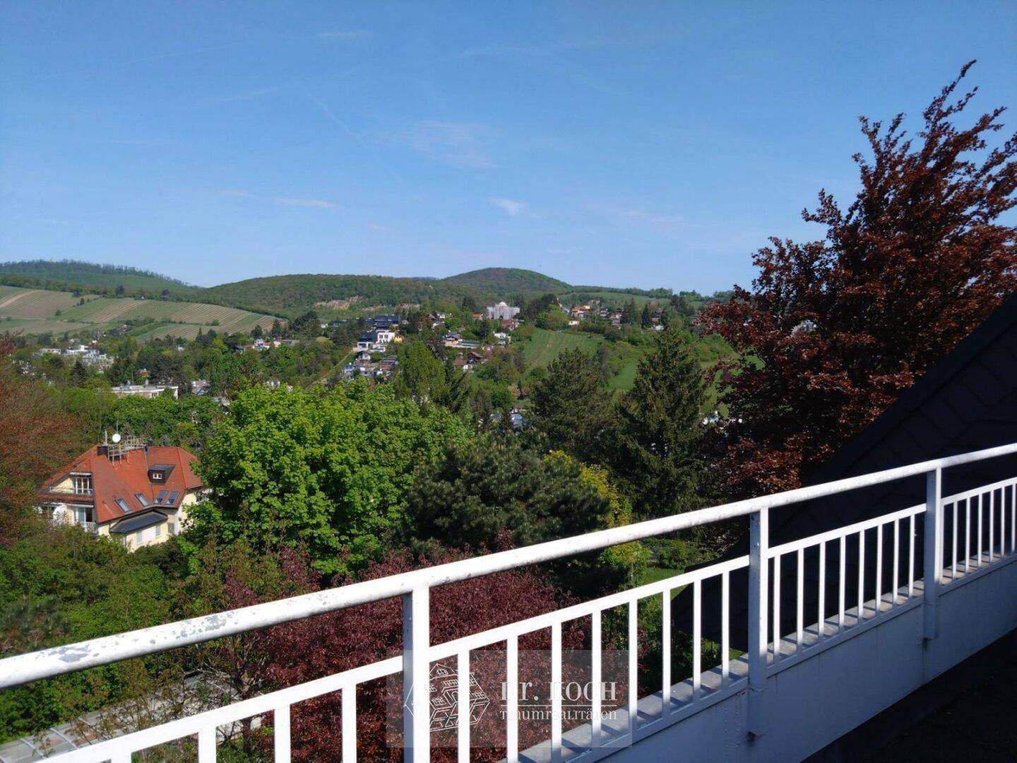 Blick 3