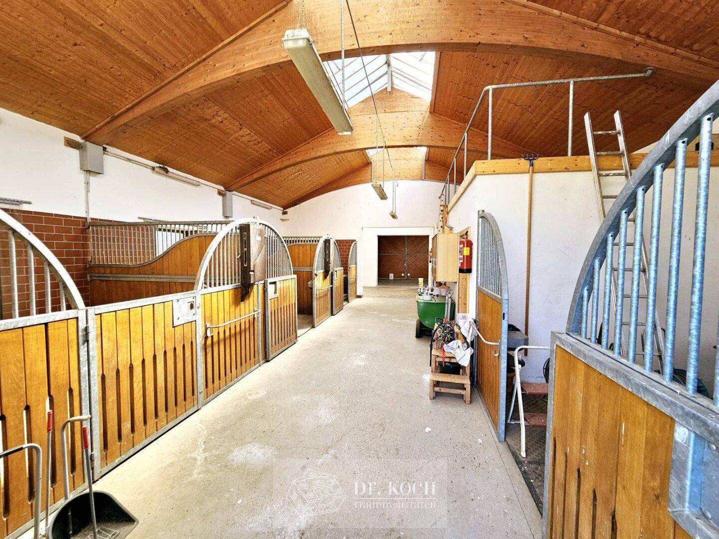 Innenansicht eines Stalls mit Holzboxen, hohen Decken und Oberlichtern.