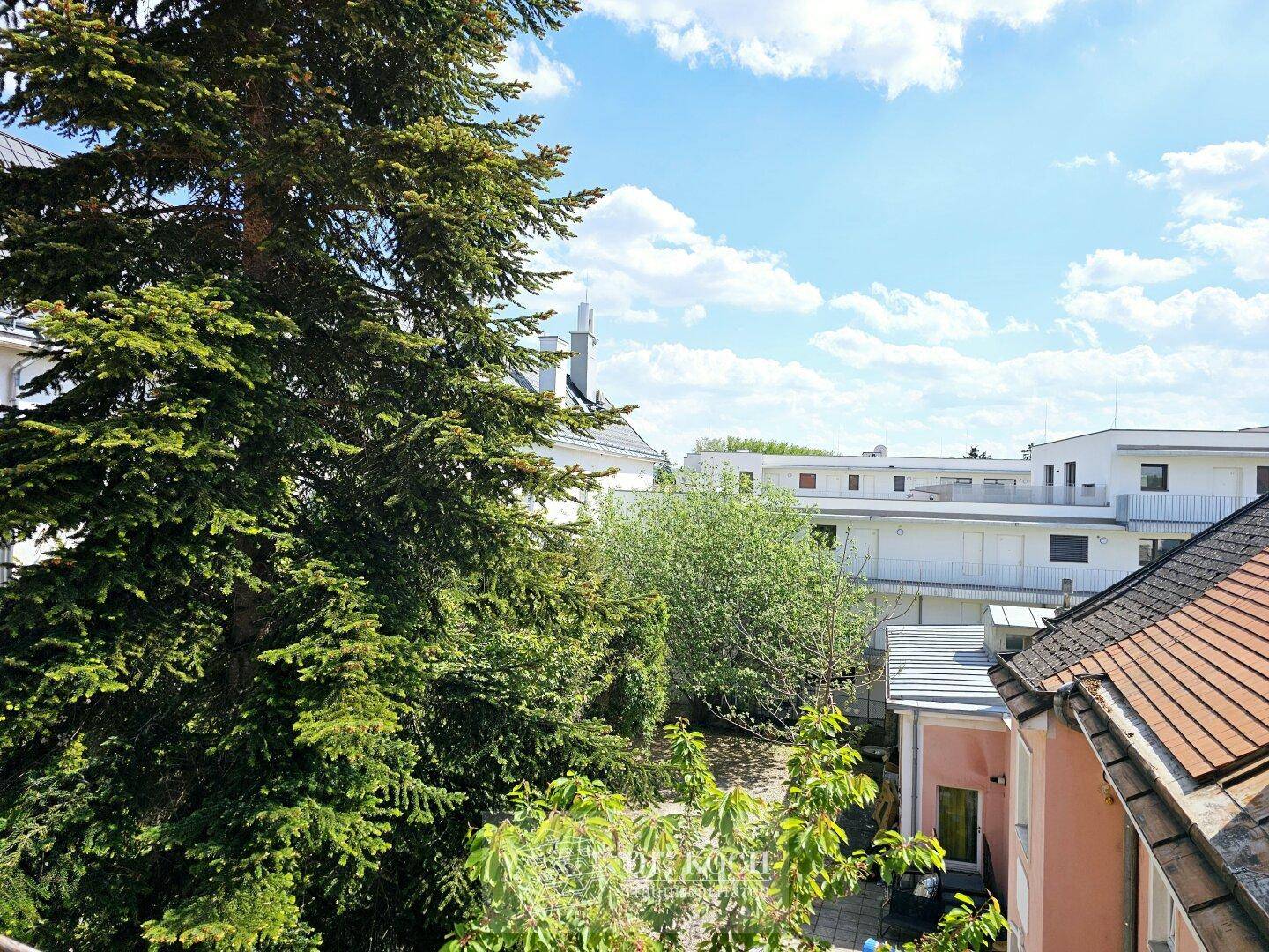 Grüner Ausblick auf Bäume und umliegende Gebäude unter blauem Himmel.