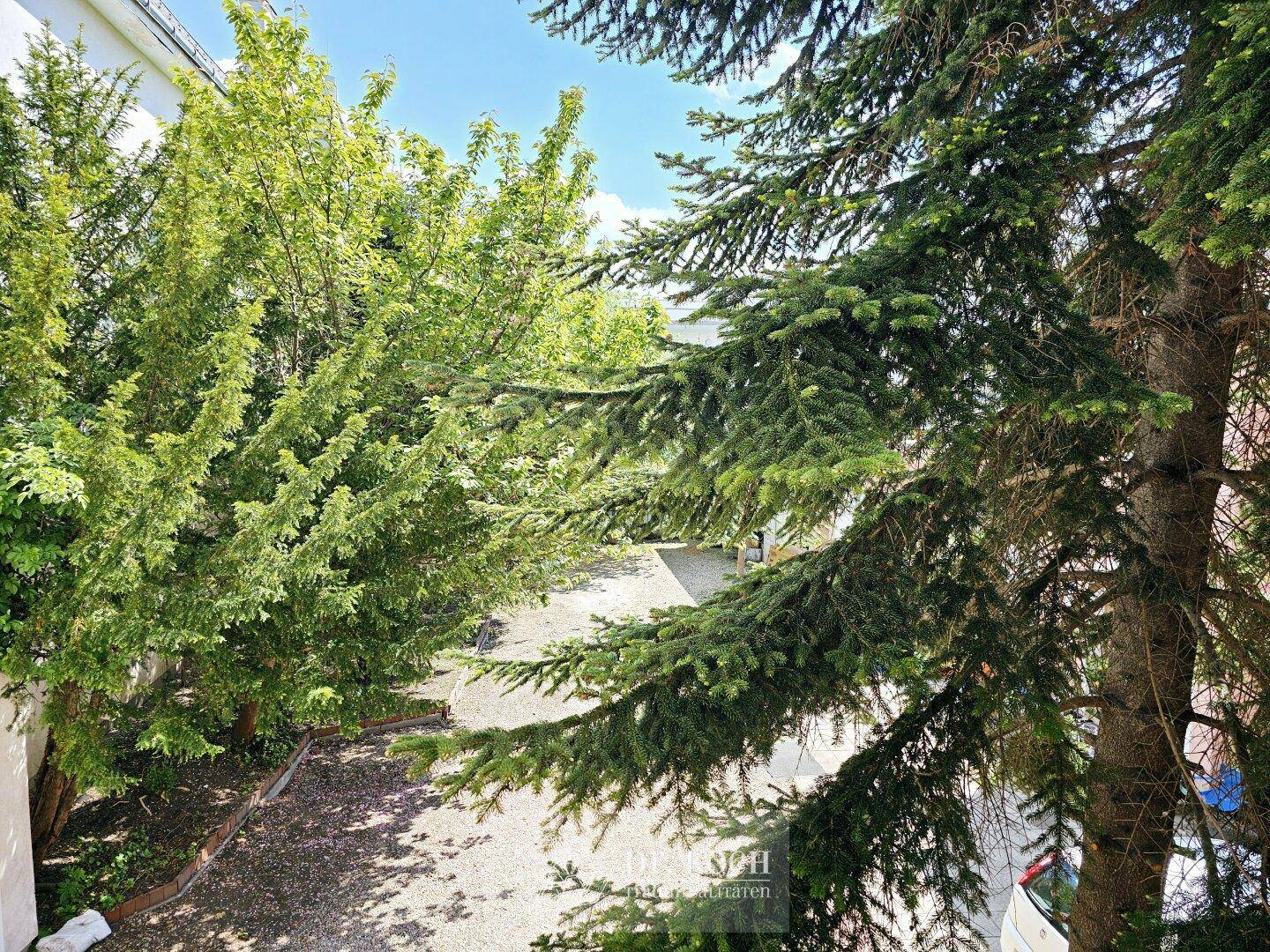 Blick auf grüne Bäume und einen Kiesweg, der zu einem Parkplatz führt.
