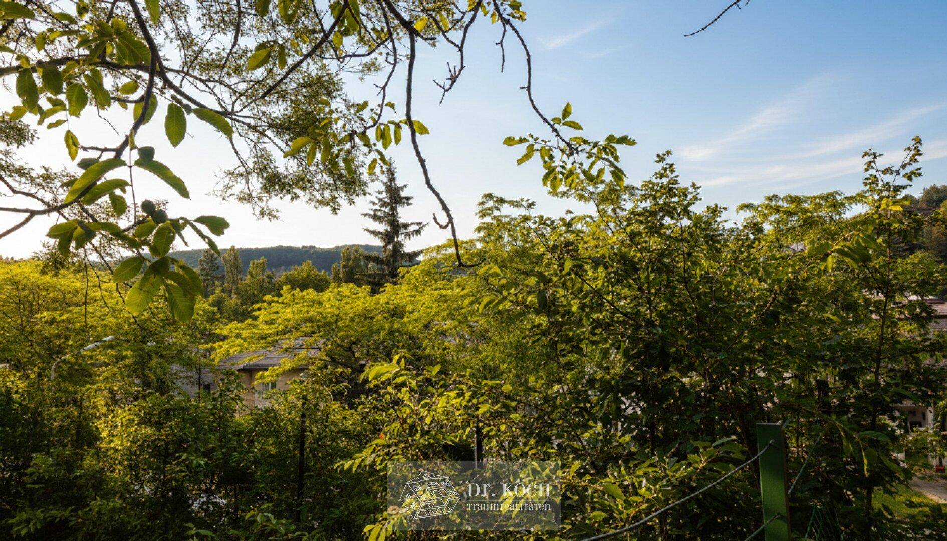 Üppige grüne Landschaft mit Bäumen und Sträuchern unter einem klaren blauen Himmel.