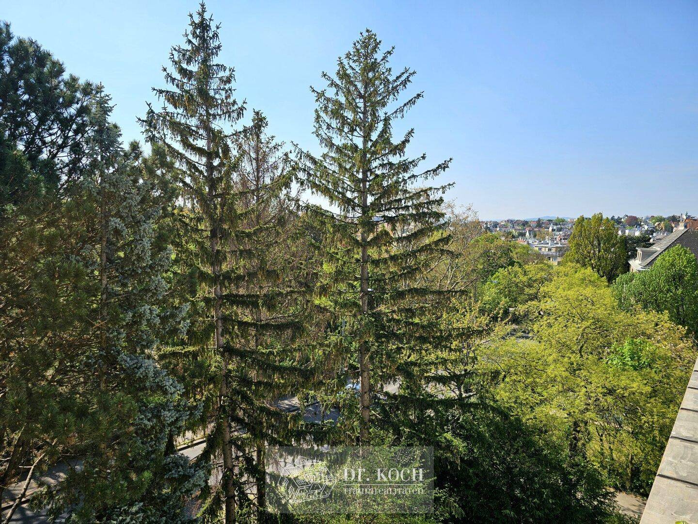 Blick auf hohe Nadelbäume und eine grüne Landschaft mit Gebäuden in der Ferne.